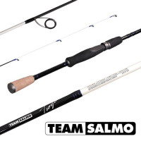 Спиннинг Team Salmo TIOGA 6.8/M 2.10m 3.5-22gr