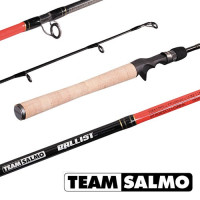 Спиннинг Team Salmo BALLIST 6.1/MH  1.87m 5-22gr